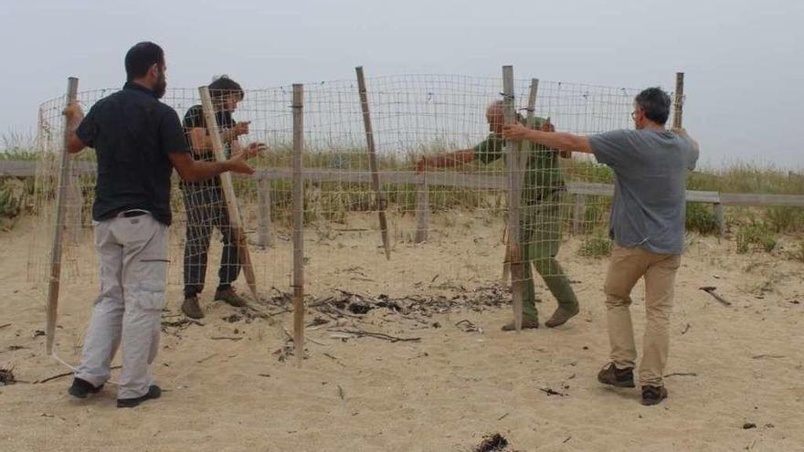 El balizado de un nido de chorlitejo durante la campaña de protección de la especie // E. González / SEO / PIO