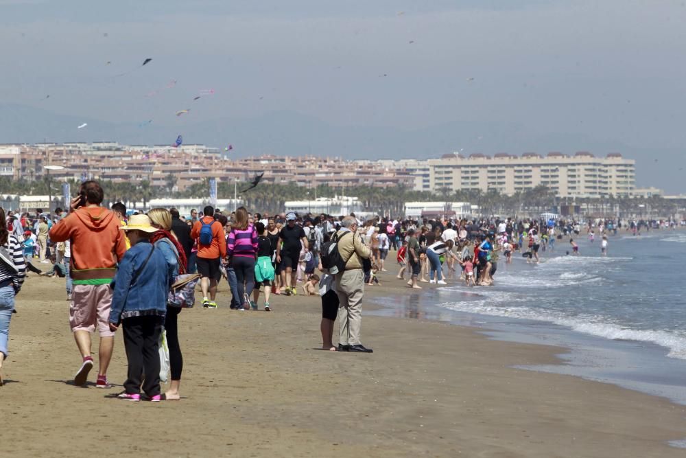 Festival del Viento 2016 en la Malva-rosa