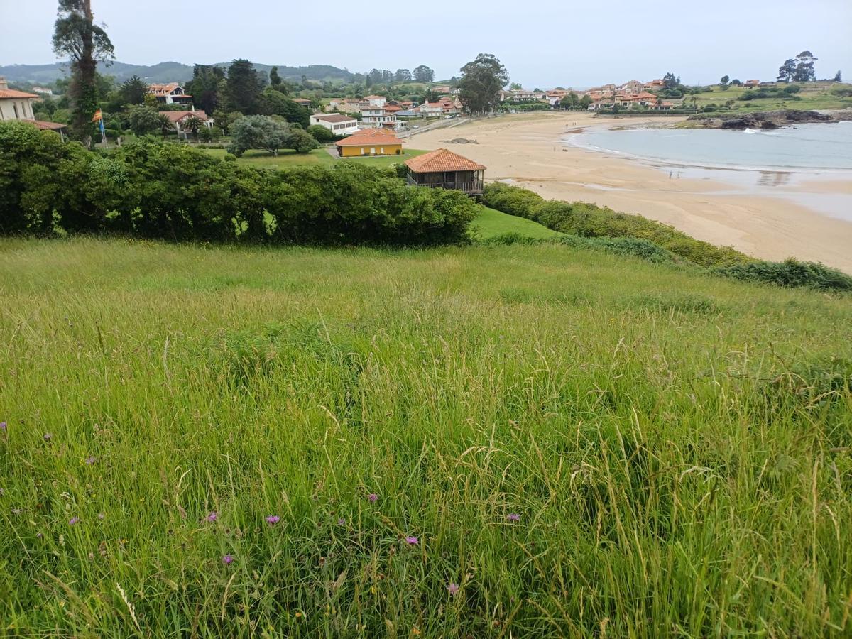 La finca de El Barrigón, en La Isla.