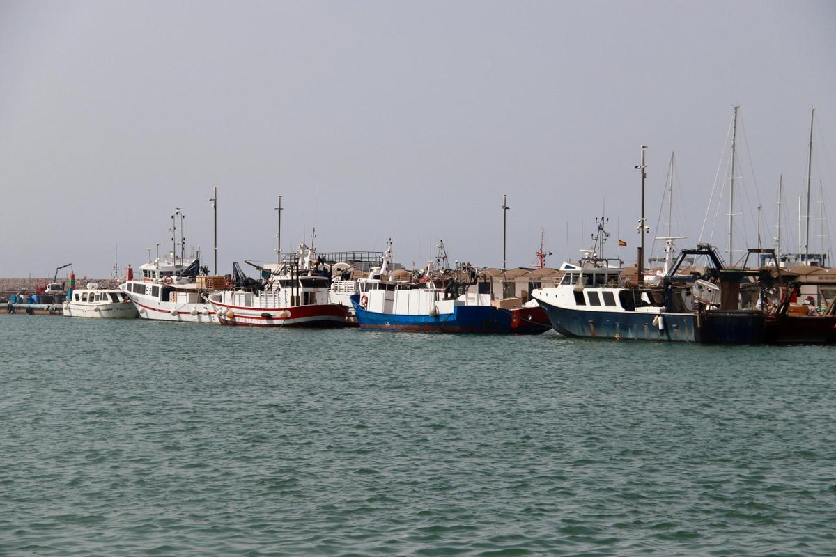 Barcas amarradas en el puerto de Vilanova i la Geltrú