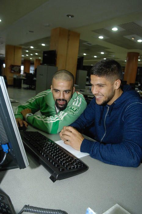 CHAT CON LOS BOXEADORES CHJOCOLATITO Y SULTAN