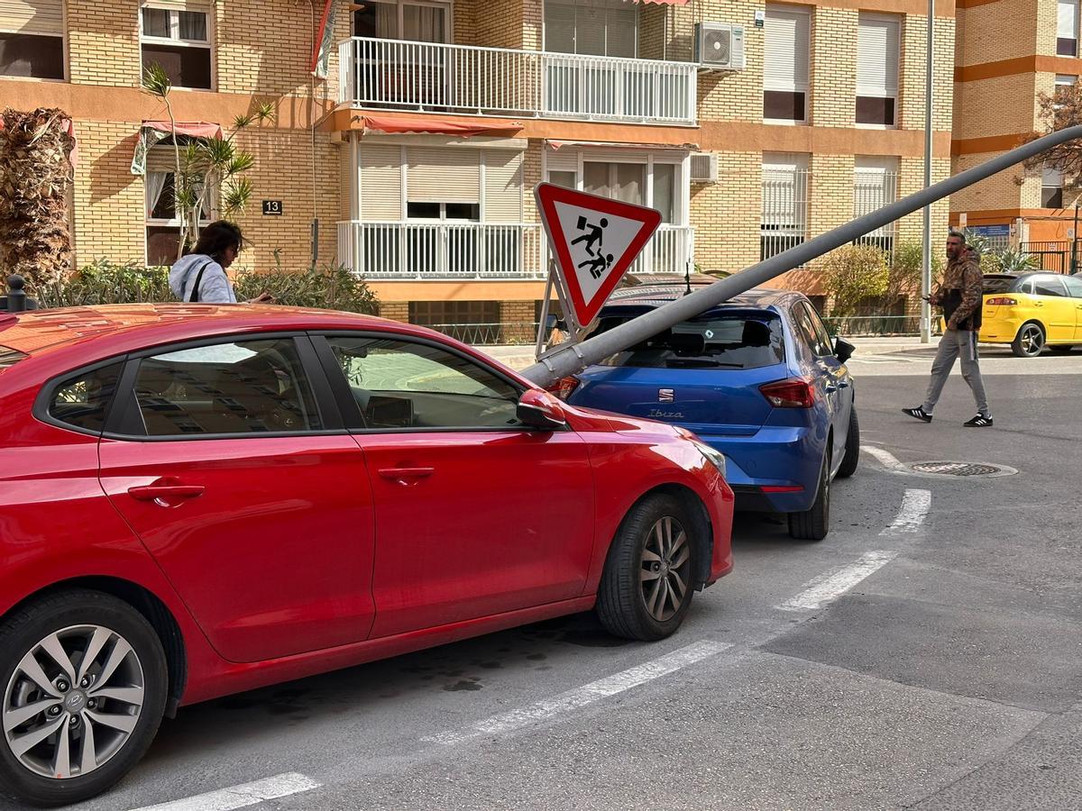 Una farola derribada este lunes en el barrio alicantino de Alipark