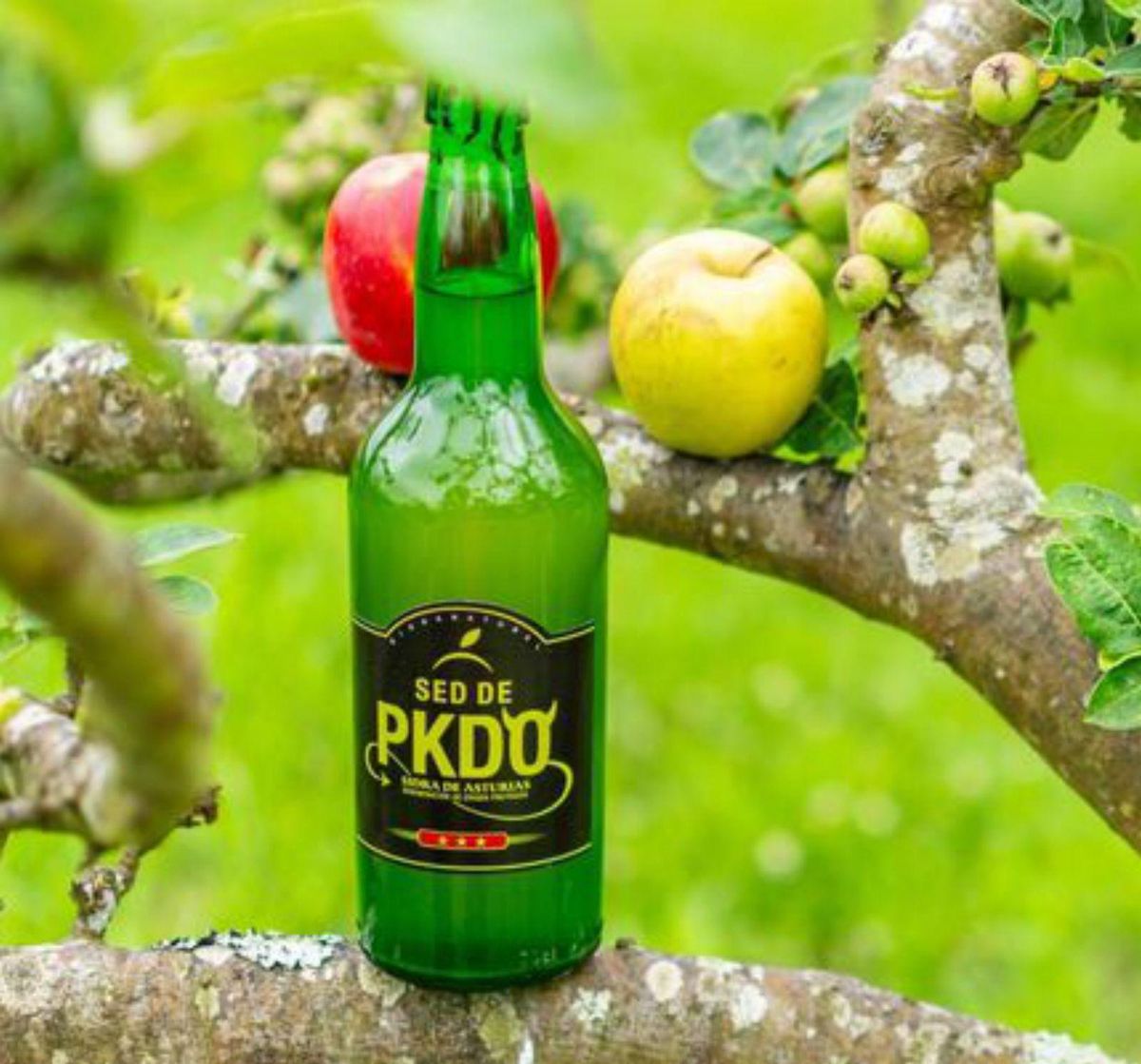 Botella de «Sed de PKDO».