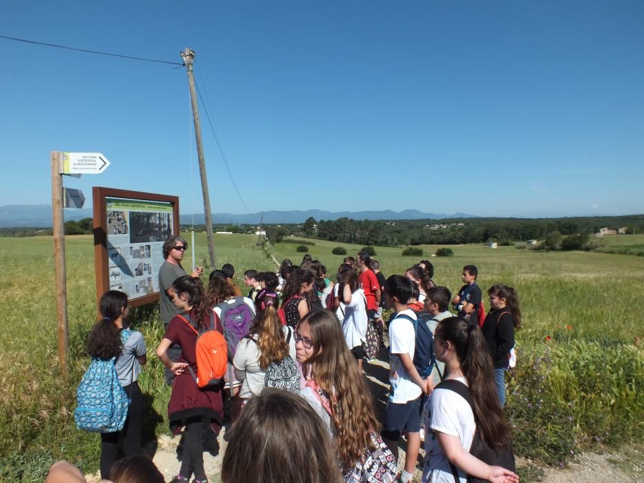 Un grup d'alumnes de l'Institut Sa Palomera visita el Camp dels Ninots