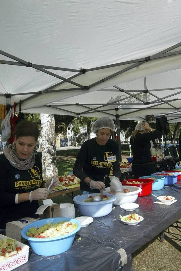 Fotogalería: Fedding 1000 Zaragoza