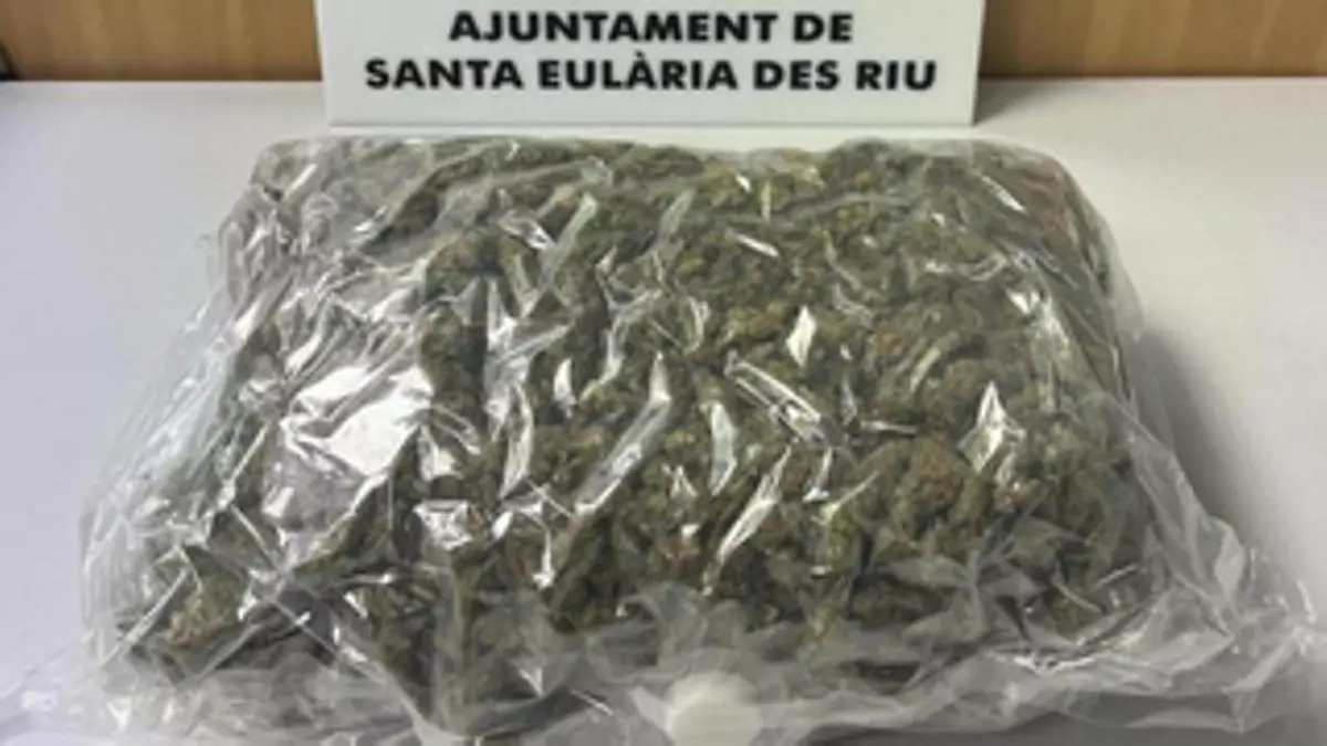 Detenidos con «una sustancia vegetal verde» de «fuerte olor»