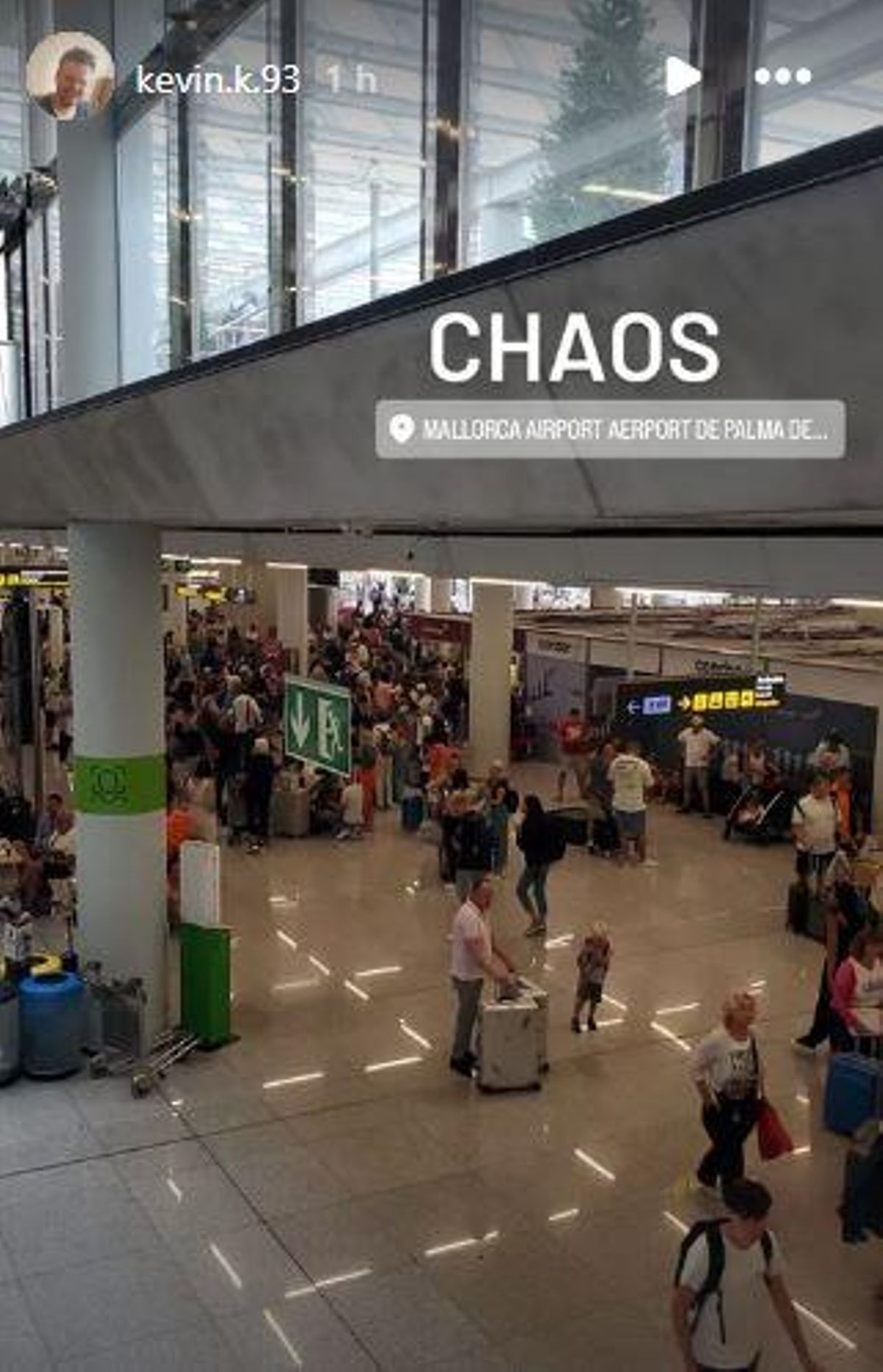 Auch der Flug von MZ-Leser Kevin K. wurde am Donnerstag (15.8.) gestrichen. Am Flughafen herrscht derzeit Chaos.