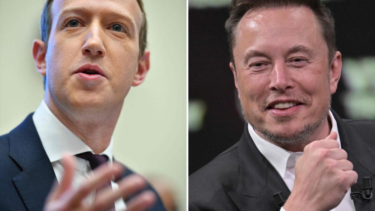 Pelea Mark Zuckerberg y Elon Musk