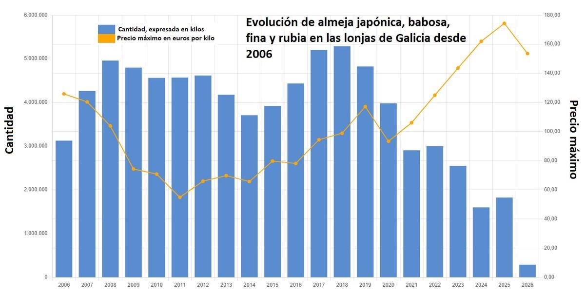 La pérdida de peso de la almeja resulta especialmente preocupante desde la pandemia.