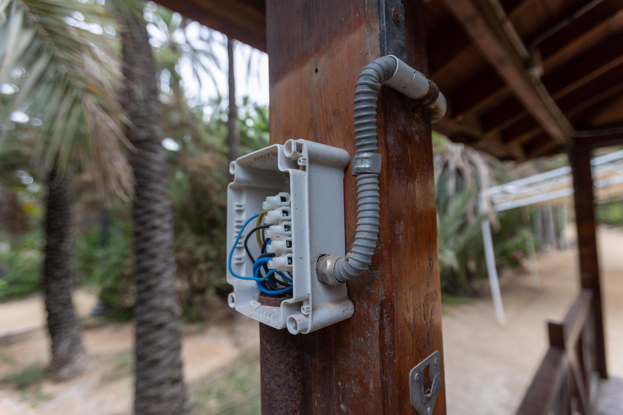 El abandono del Parque El Palmeral de Alicante