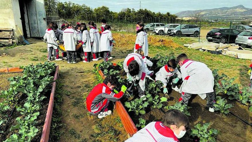 Cómo ahorrar agua, asignatura obligatoria en tiempos de sequía