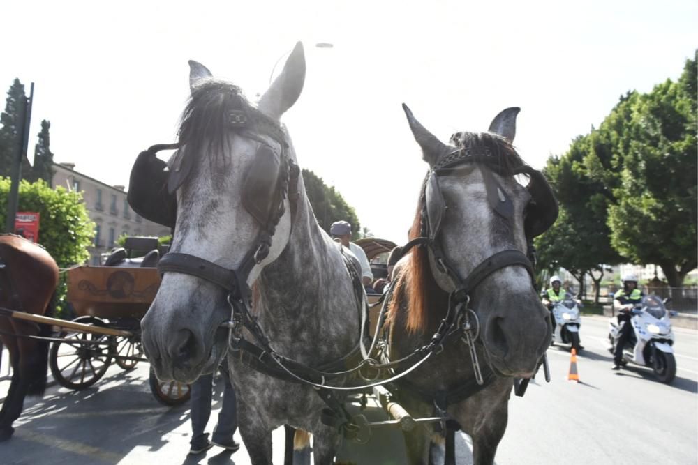 Ruta en carro al corazón de la Huerta