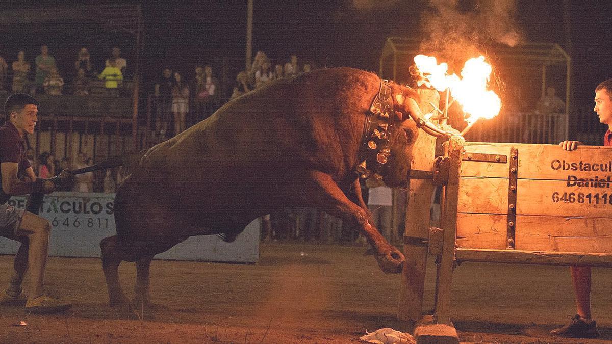 Embolada de la cuadrilla ‘La Contornà’ en la exhibición de emboladores con toros de Parejo, en las fiestas de la Segregación.