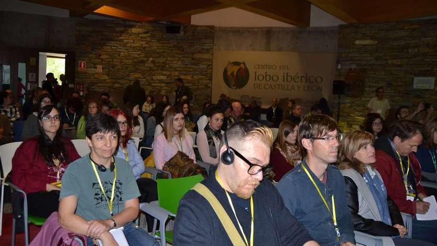 Participantes en las jornadas sobre el lobo durante las ponencias expuestas ayer en el centro de Robledo.