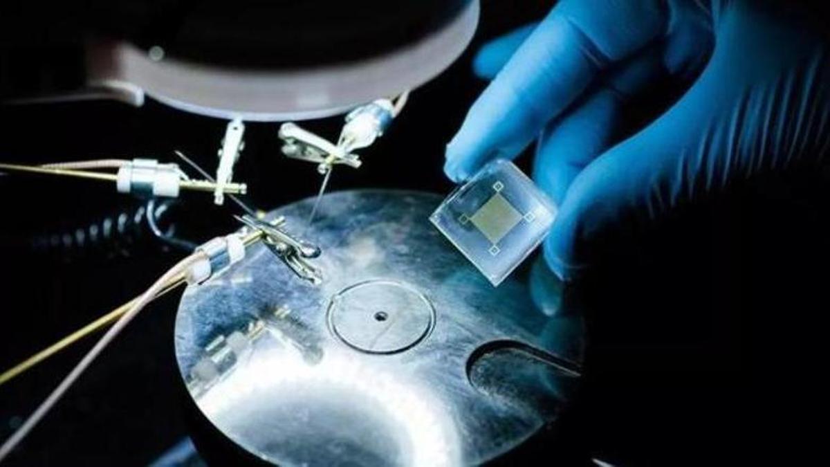 Un nou pegat informàtic amb aparença de pell pot analitzar dades de salut mitjançant intel·ligència artificial de manera sense precedents