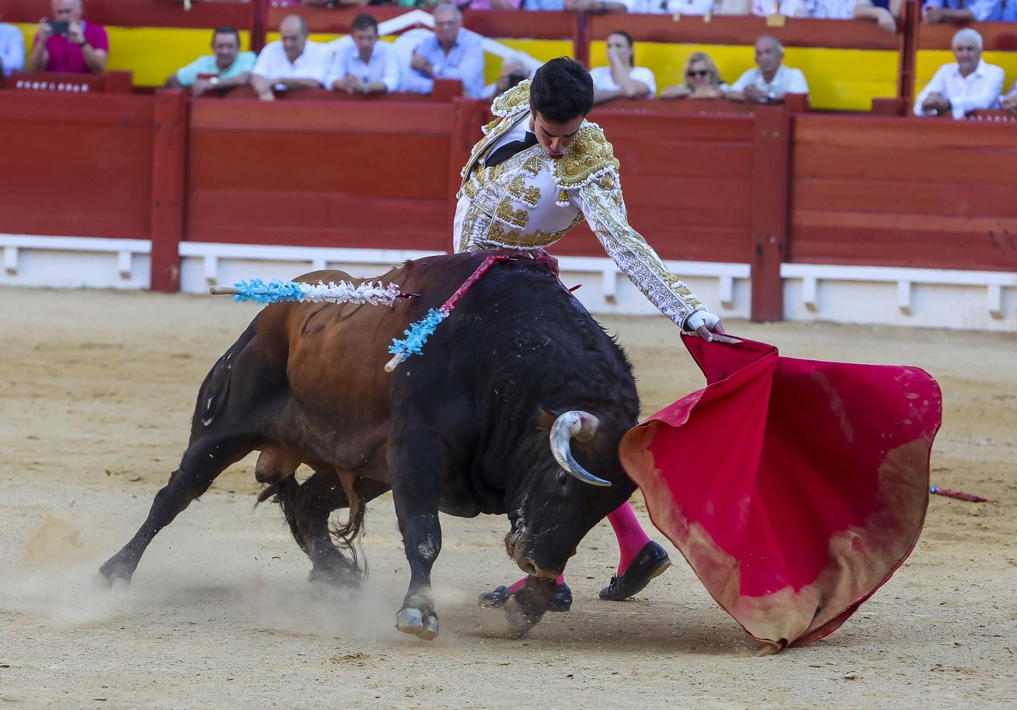 La quinta de la Feria de Hogueras