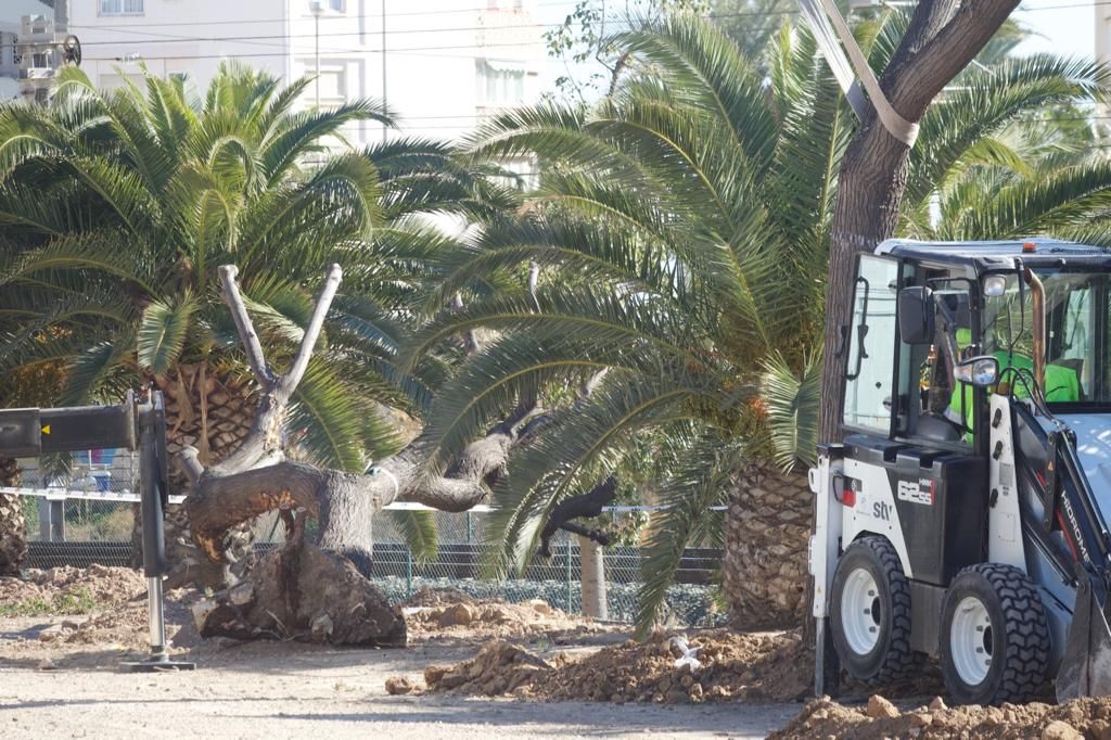 Trasladas las melias al parque Sergio Melgares