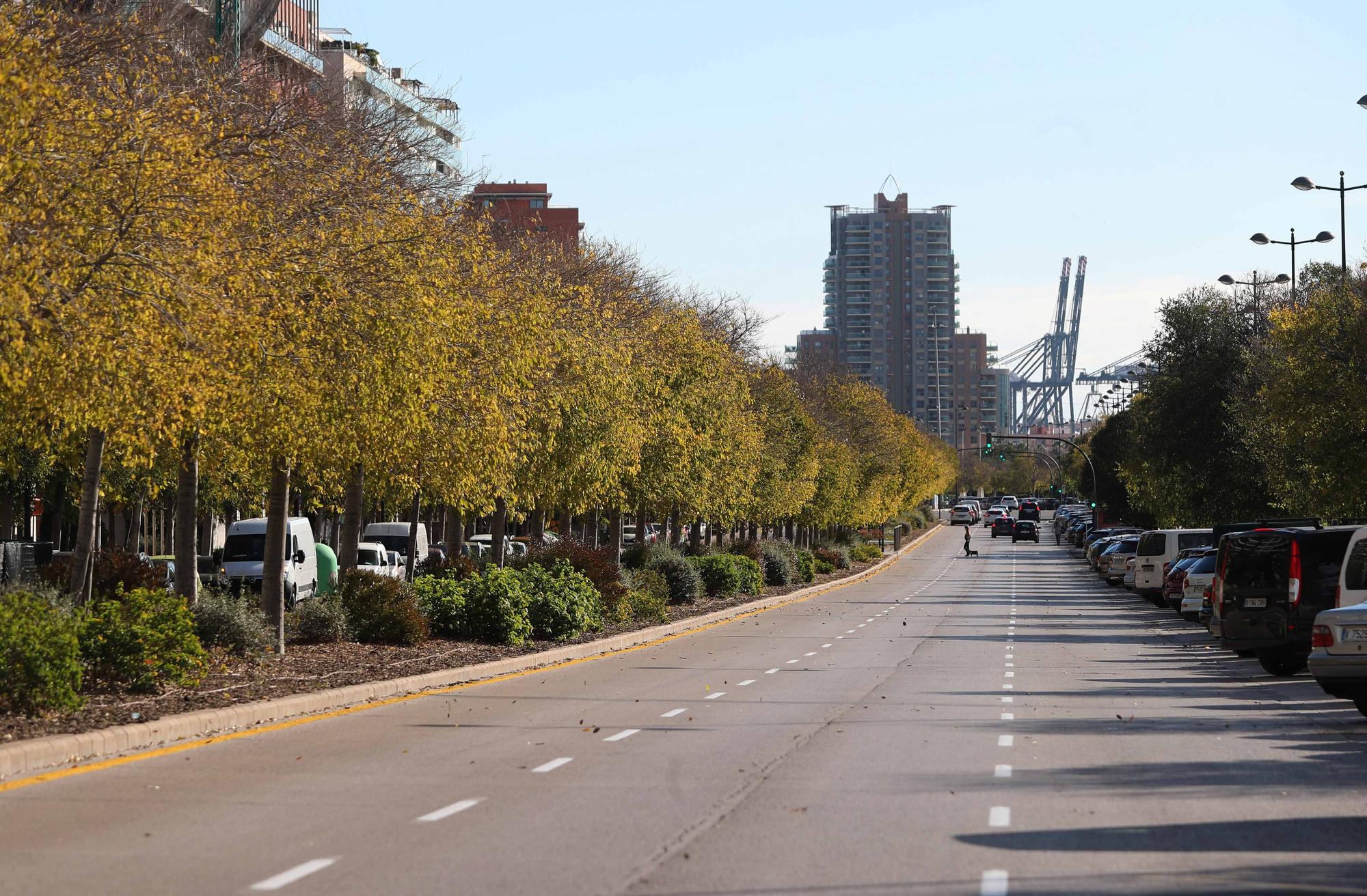 Este es el recorrido que verán los participantes de la Maratón