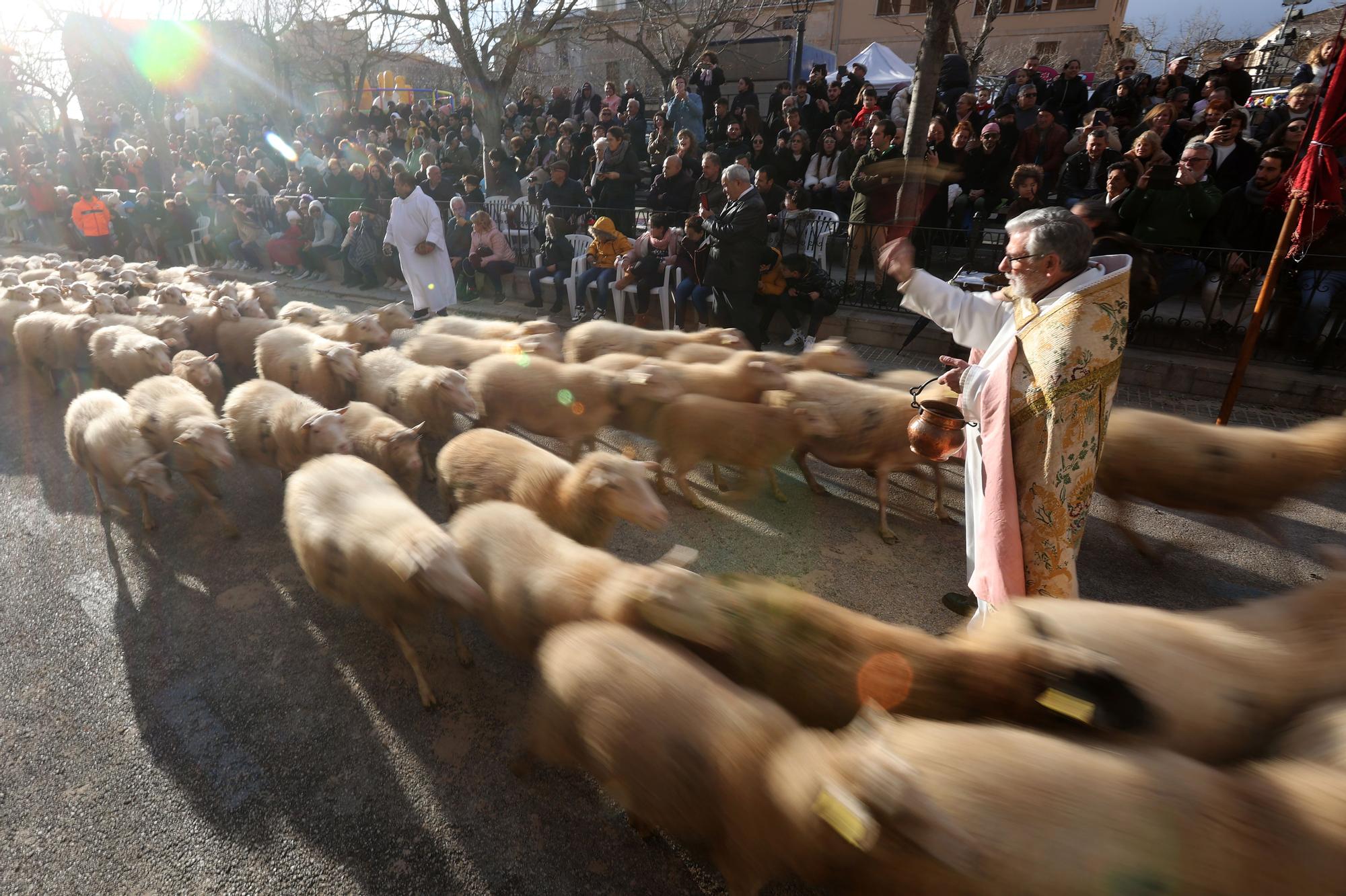 Gott sei mit euch: So wurden in Muro 2023 die Tiere gesegnet