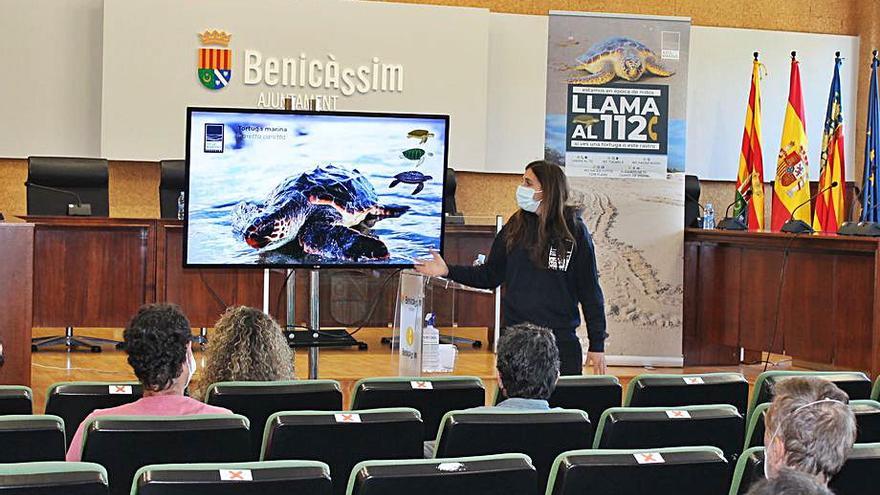 Expertos enseñan cómo actuar ante las nidificaciones en las playas.