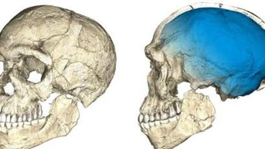 Troben al Marroc restes dels primers &#039;Homo sapiens&#039;