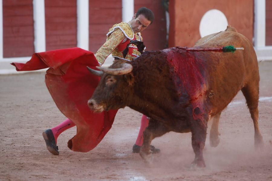 Toros en Zamora