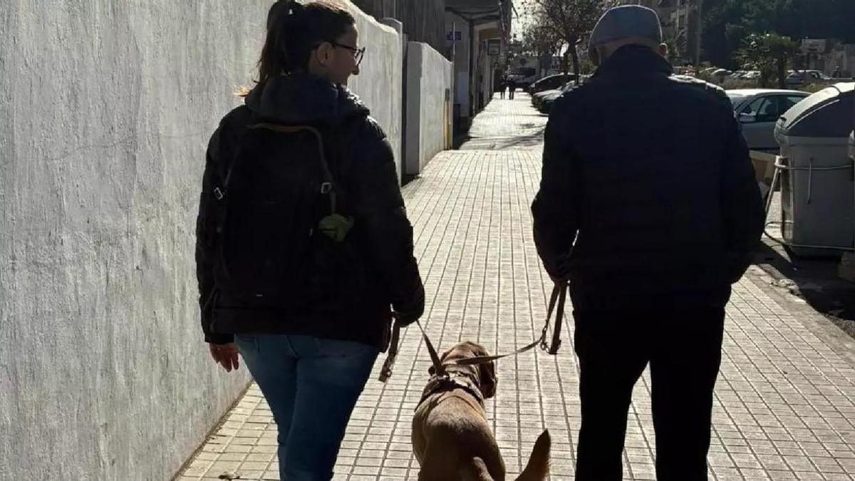Uso de un perro en un programa social, en una imagen de archivo.