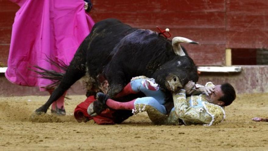 Enrique Ponce, corneado en la Feria de Fallas