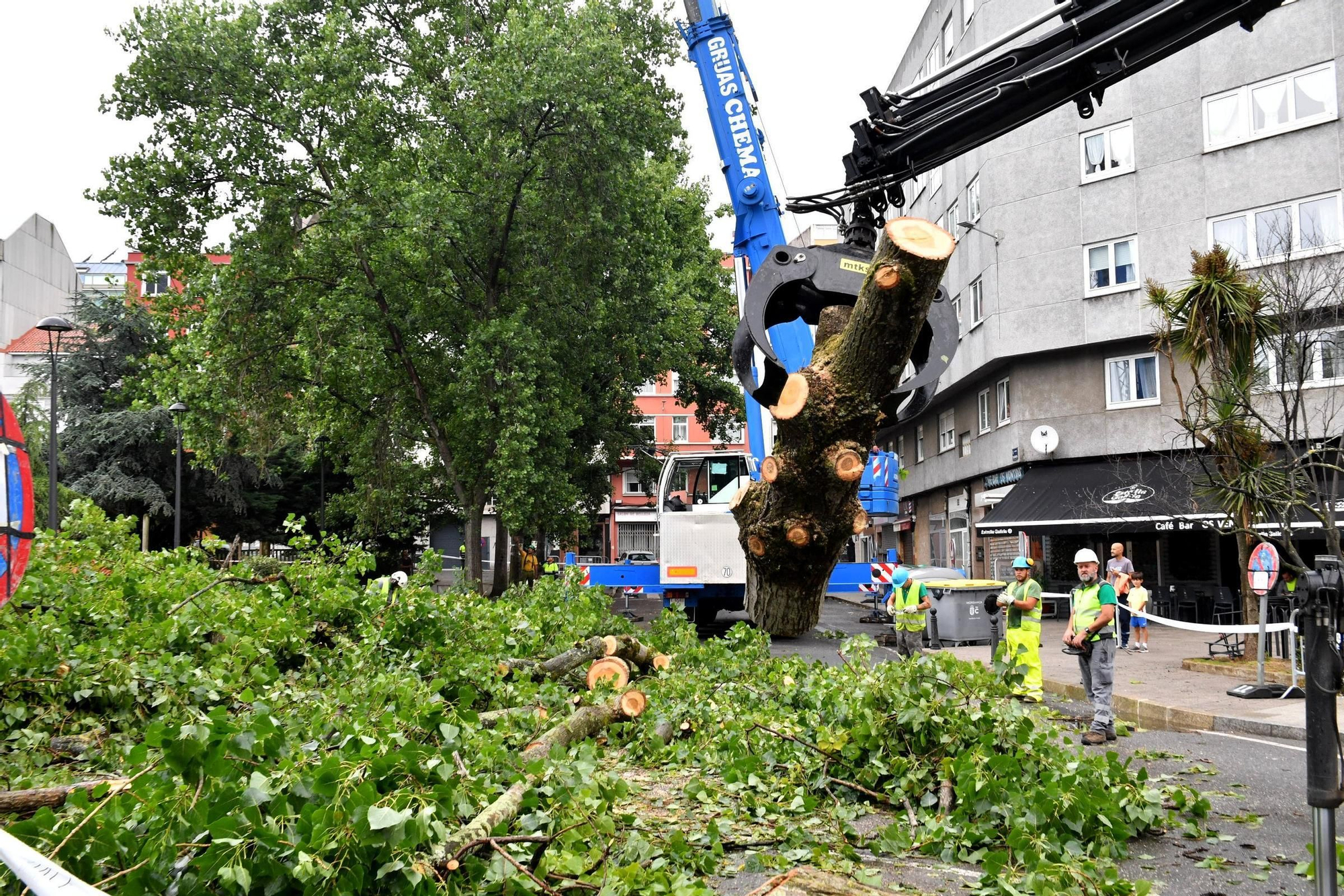 Tala de árboles en el entorno de la plaza de la Tolerancia