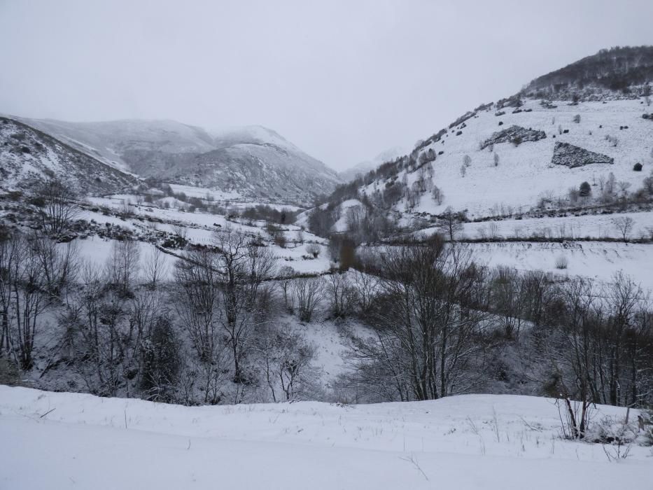 Primera nevada de la primavera o última del invierno en Genestoso, Cangas del Narcea