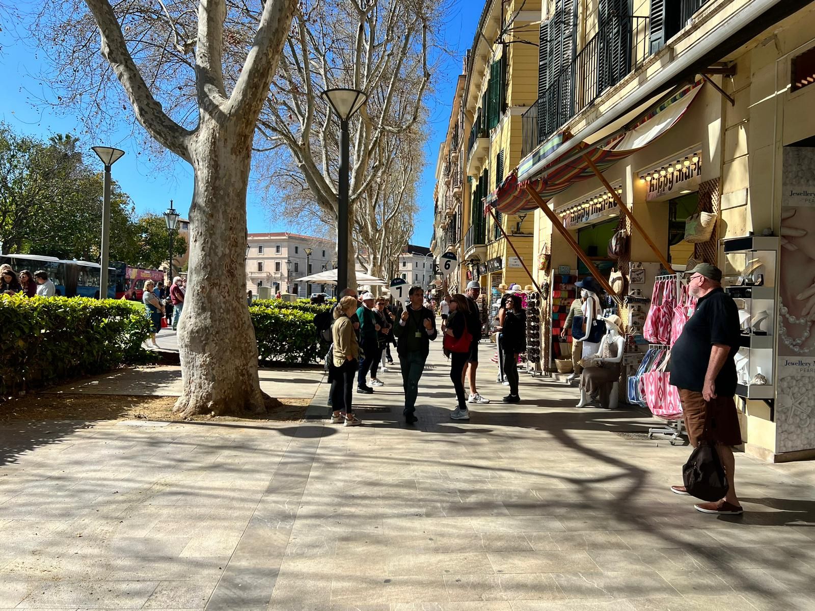 Las fotos del desembarco de cruceristas que han saturado el centro de Palma