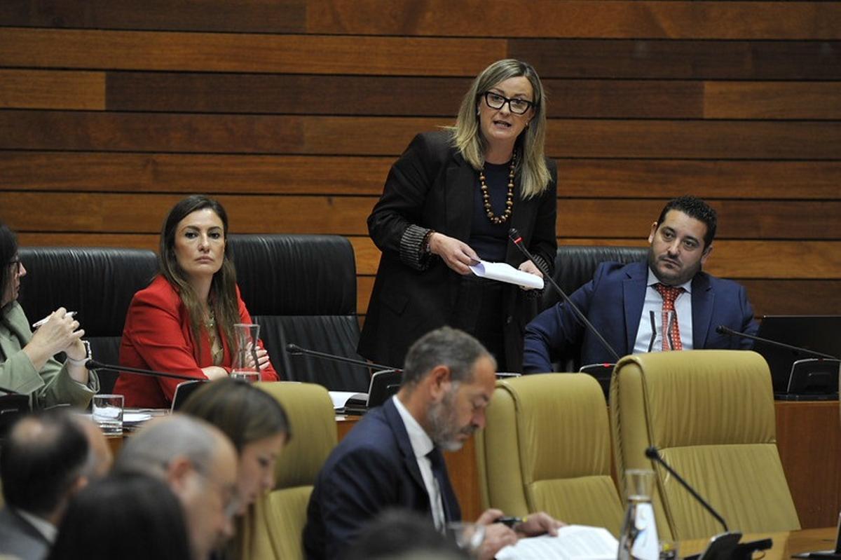 Blanca Martín, expresidenta de la Asamblea de Extremadura, debuta como portavoz de Agricultura del PSOE en la Cámara.