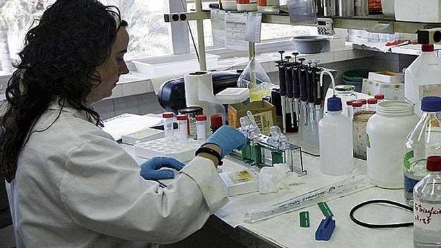 Los proyectos serán evaluados a partir de la próxima semana.