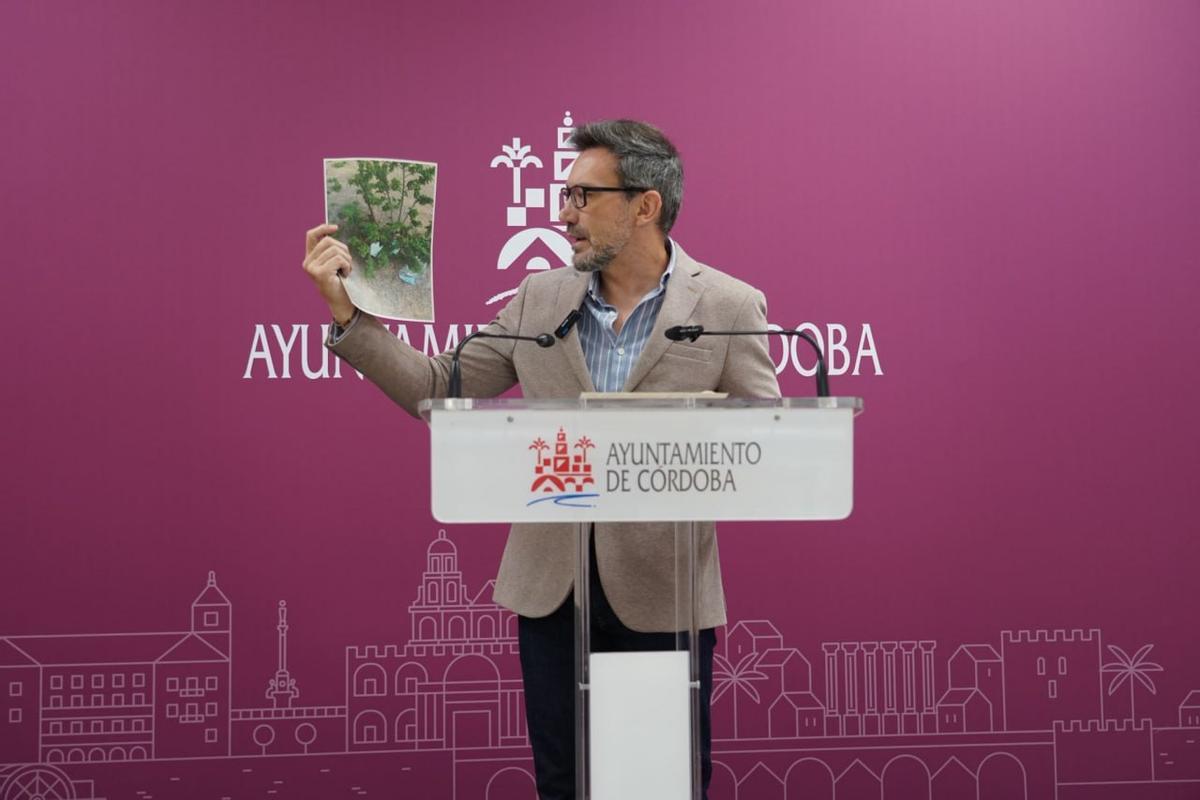El concejal del PSOE en el Ayuntamiento de Córdoba José Antonio Romero.