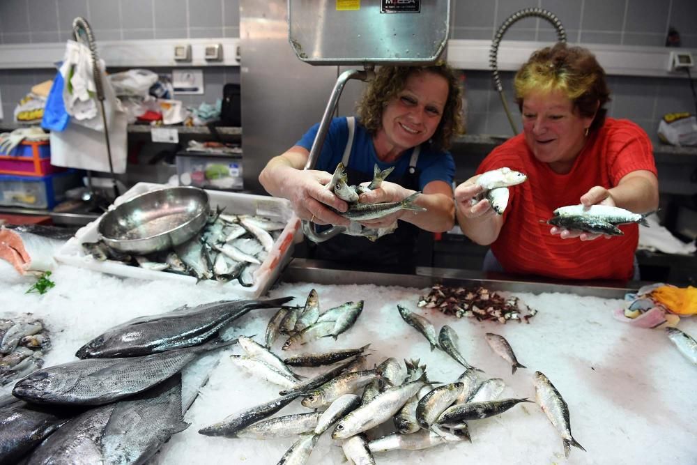 San Juan A Coruña 2017: Sardinas en las plazas