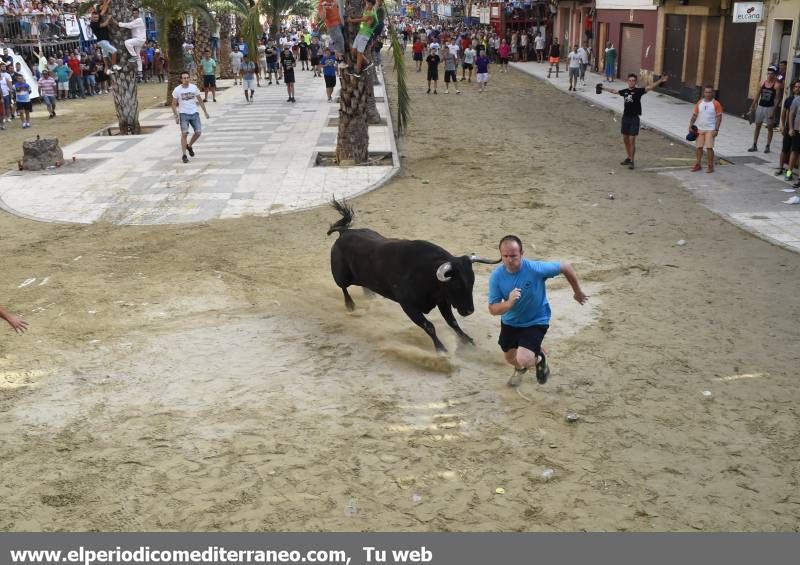 Peñas y toro.