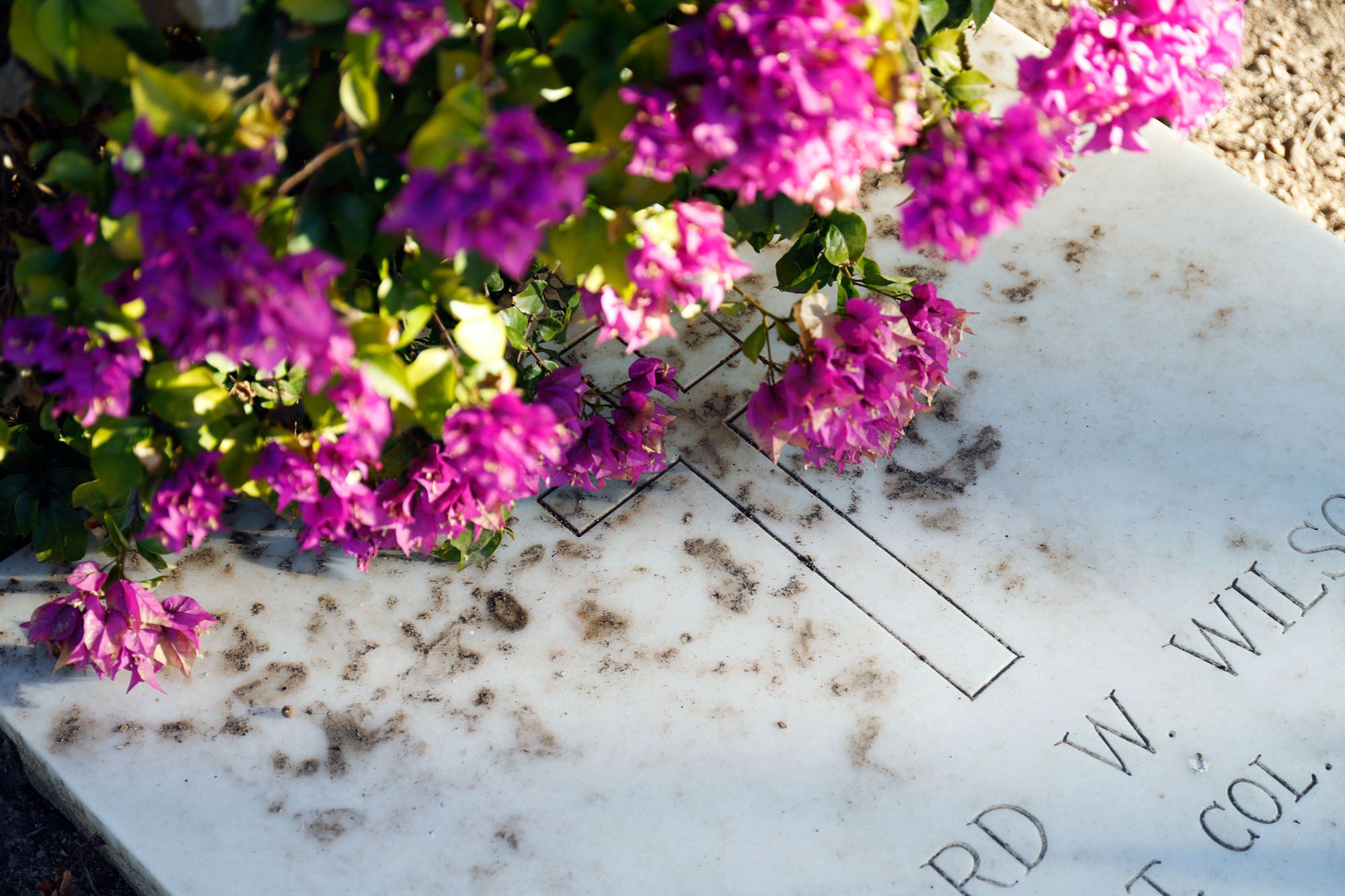 Recorrido por las mejoras realizadas en el Cementerio Inglés de Málaga