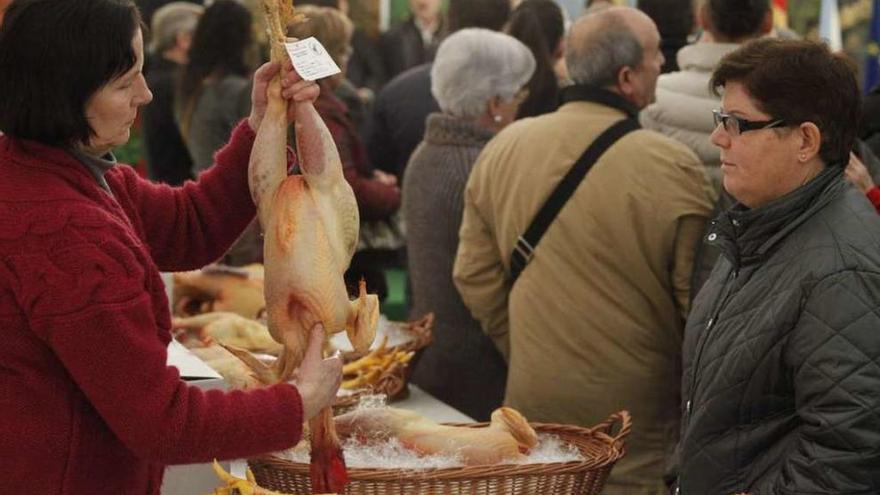 Una criadora enseña una pieza a una clienta, en una edición anterior de la feria. // Bernabé/Gutier