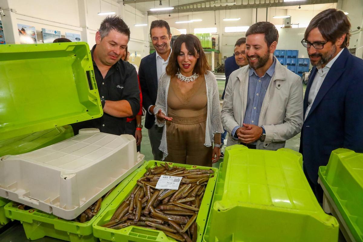 El patrón mayor, Alejandro Pérez, muestra una caja de navajas, en la sala de subastas de la lonja.