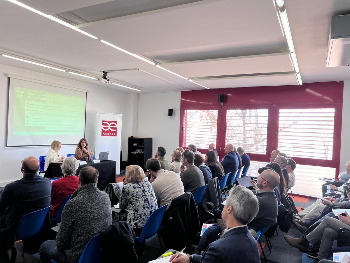 Luz verde en el proyecto de creación de una Comunidad Energética en Cornellà.