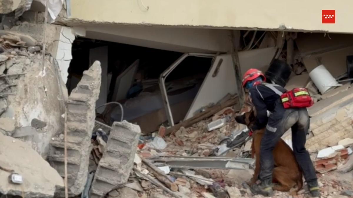 Así trabaja el ERICAM de la Comunidad de Madrid para encontrar supervivientes en Venezuela