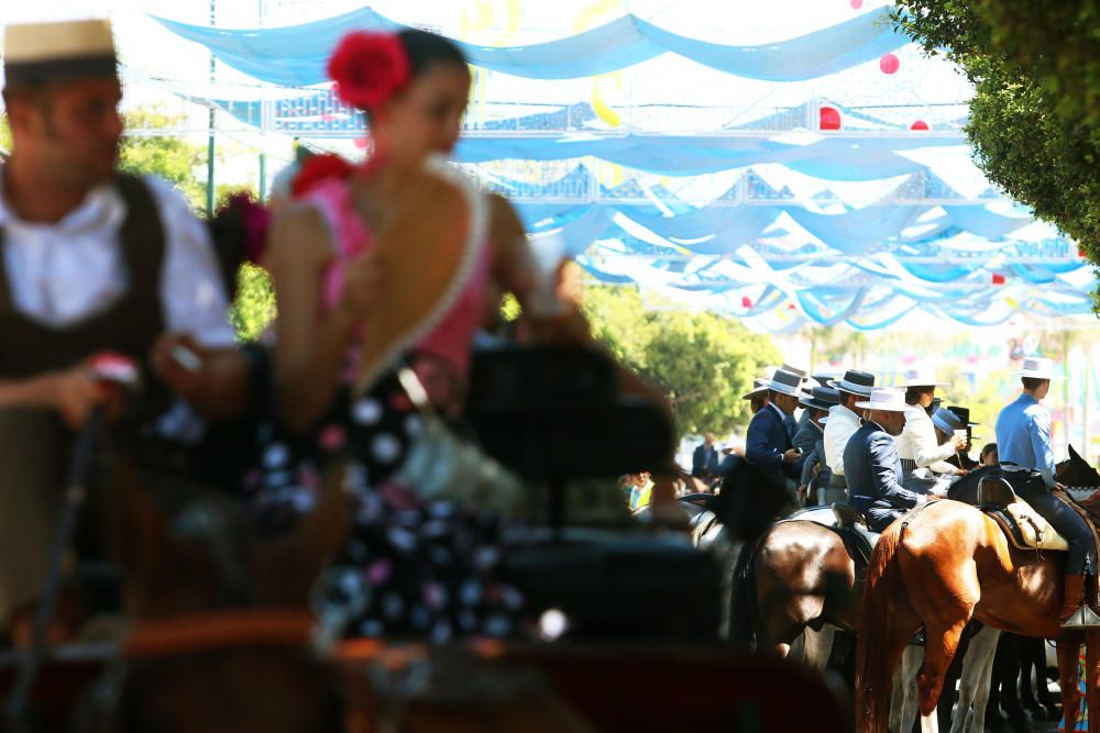 Caballos en el Real de la Feria