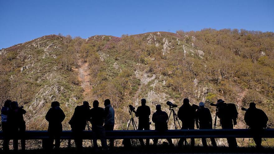 Turistas avistando osos en Larón