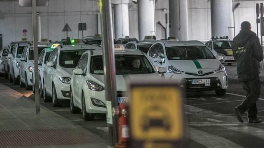 Taxistas ilicitanos ayer en la zona reservada para recoger a los clientes llegados al aeropuerto de Alicante-Elche.