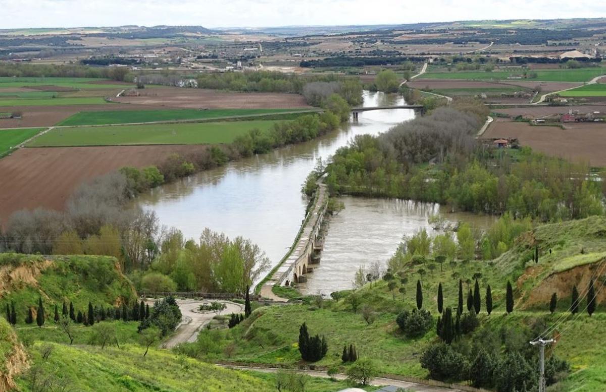 Nace una plataforma para salvar los chopos del Duero