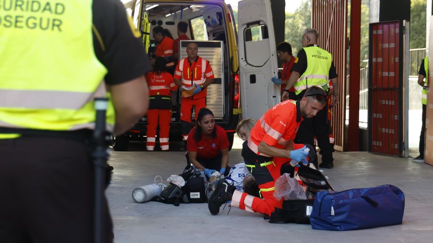 Un aficionado alemán, en estado grave tras una caída antes del Mallorca-Hamburgo