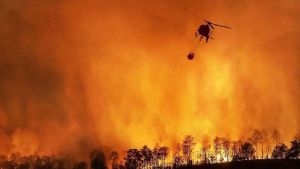 Incendios devastadores han arrasado los bosques de la Península este agosto / Agencias /