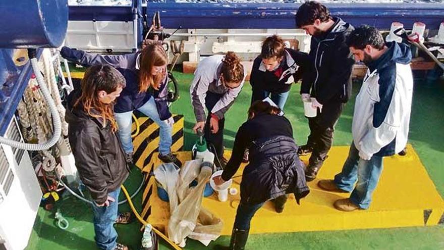 Alumnos del máster de Ecología Marina de la UIB en unas prácticas.