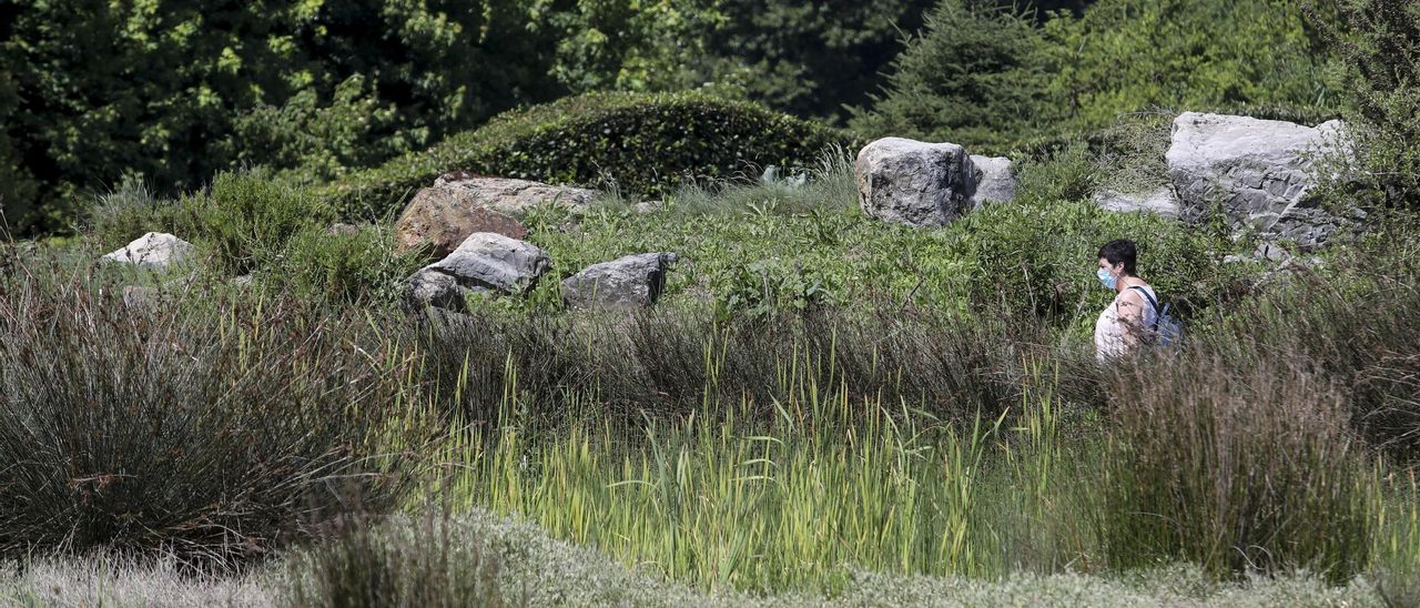 Una vista del Jardín Botánico de Gijón