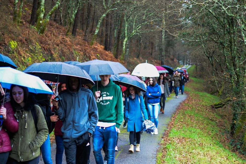 Las "Fervenzas" de Valga y el bosque que las rodea